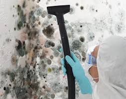 Best Environmental Consulting for Mold Prevention  in Ossun, LA